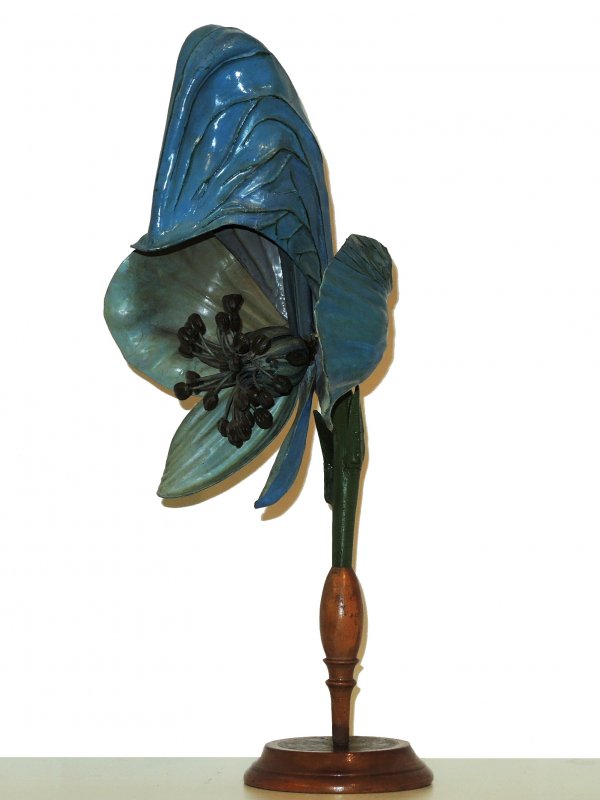 Blütenmodell von Aconitum napellus (Blauer Eisenhut)