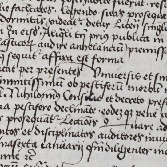 Dokumentiert im Protokoll der Sitzung vom 21. Jänner in den Akten der Artistenfakultät der Universität Wien, 1507
