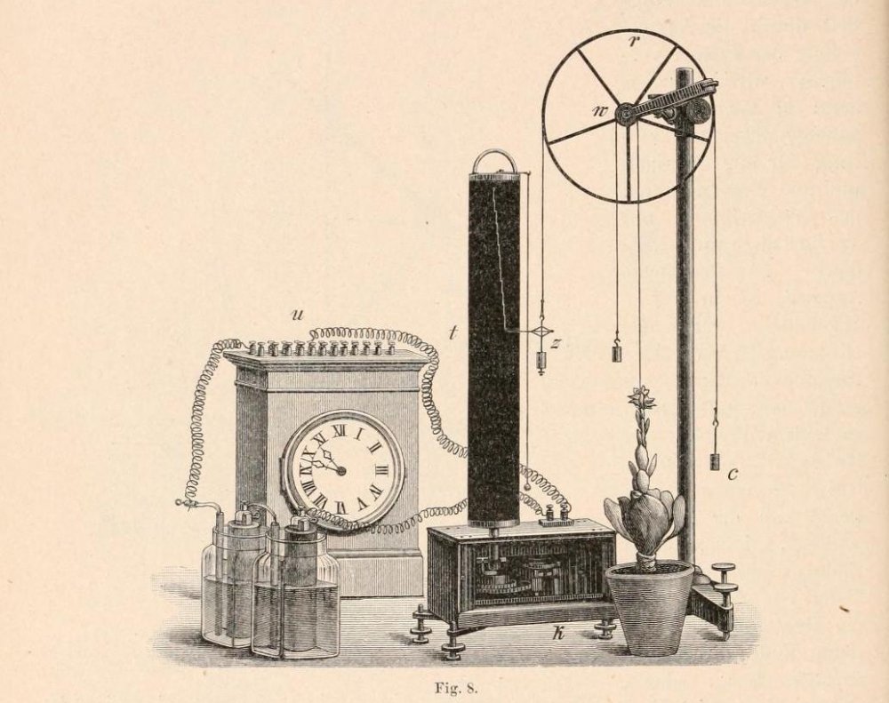 Trommelauxanometer