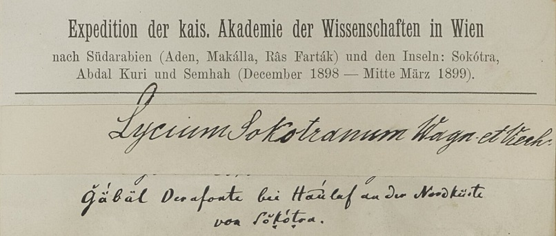 Symbolic picture © Universitaet Wien