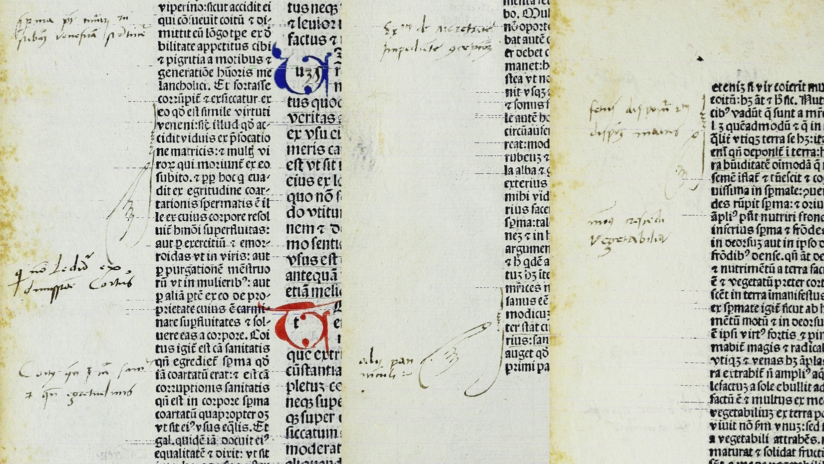 Image of a page from Artesela with historical annotations